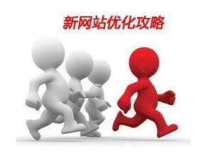 新网站优化