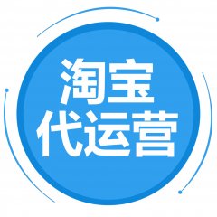 淘宝代运营案例数据展示