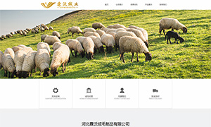 霖沃绒毛制品